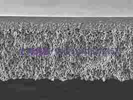 Millipore PLHK15005 Ultracel 圆片型滤膜 再生纤维素 密理博