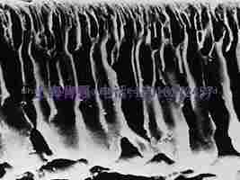 Millipore 14442AM Ultracel Amicon 圆片型滤膜 再生纤维素 密理博