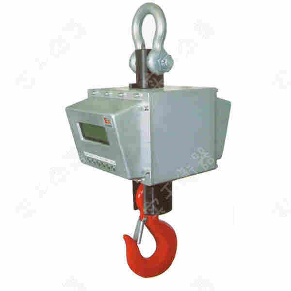 电子吊磅
