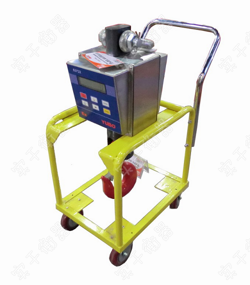 防爆吊车电子磅