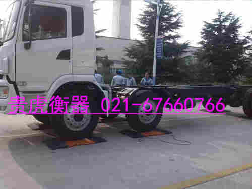 汽车轮重仪 汽车轮重仪