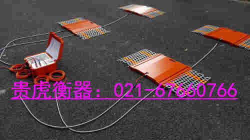 四通道轮重仪 四通道轮重仪