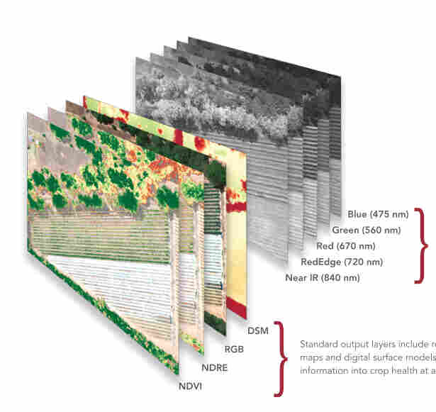 1498643583247887.jpg rededge 009.jpg