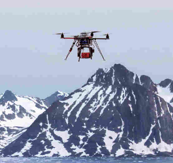 1498643573187316.jpg rededge 008.jpg