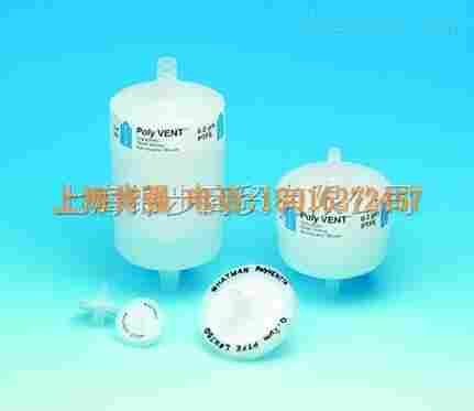 空气过滤器0.2um孔径PolyVENT通气口滤器6713-1650 6713-1075 6713-5036 whatman 沃特曼