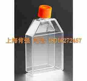 75CM2 正方斜口 细胞培养瓶 Corning