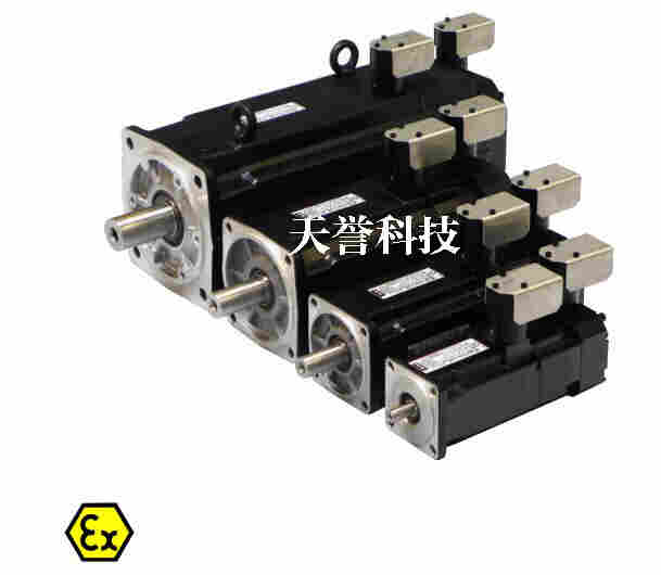 防爆伺服电机