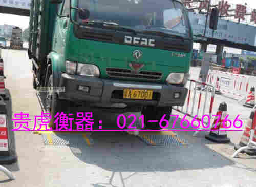 限检测地磅.jpg