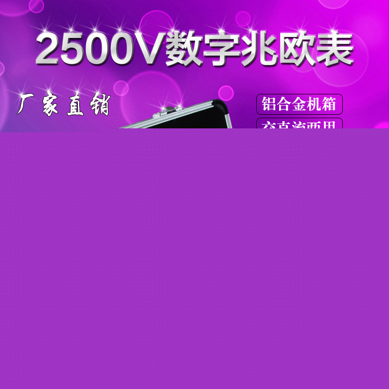 数字式兆欧表 数字式兆欧表