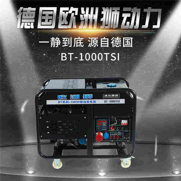 10kw备用柴油发电机 (5).jpg