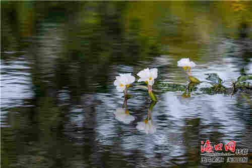 粮食水分分析测定仪器