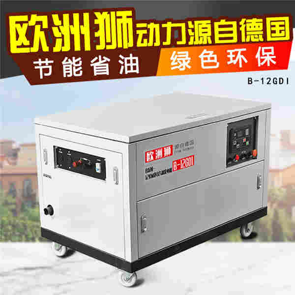 12kw汽油发电机自启动