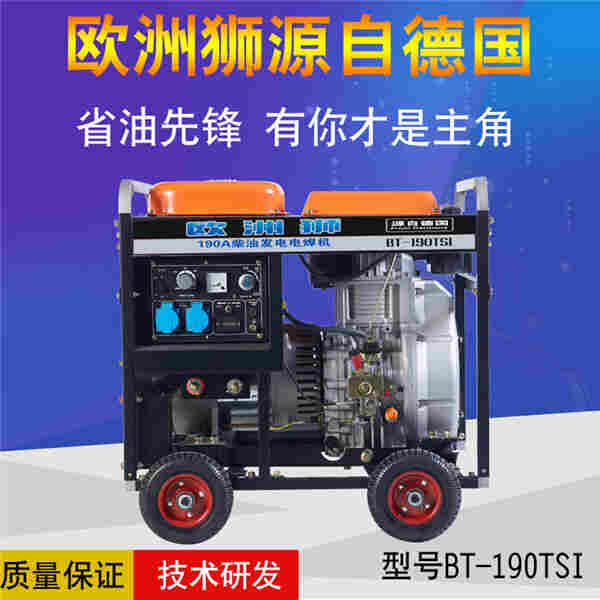 1609750977606539.jpg 230A柴油发电电焊机技术支持