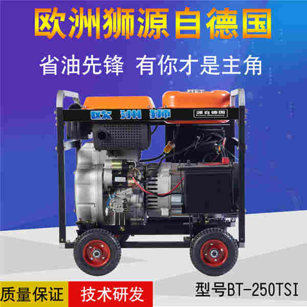 250A柴油发电电焊机便携