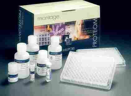 细胞现货 人甲状腺癌组织源细胞