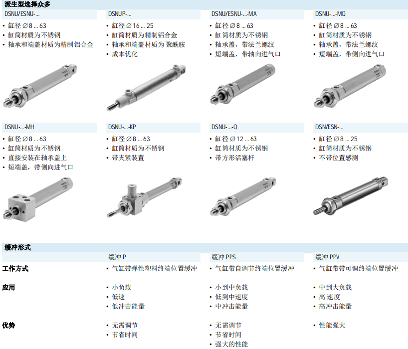 559303	DSNU-32-250-PPS-A