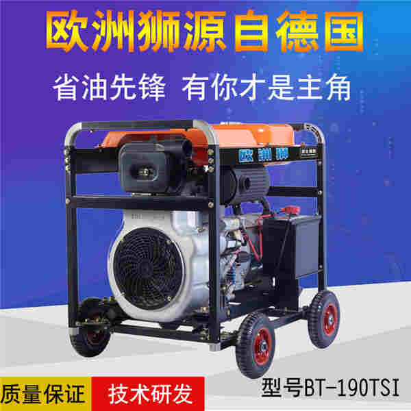 1611135251588747.jpg 190A柴油电焊机厂家价格