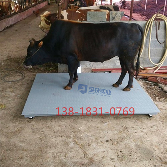 供应牲畜养殖场用电子秤2吨 动物称重平台秤