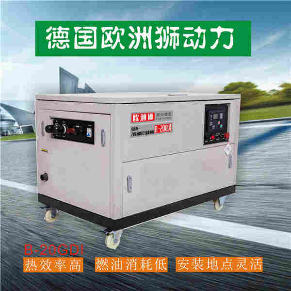 1614073191668368.jpg 20千瓦汽油发电机参数报价