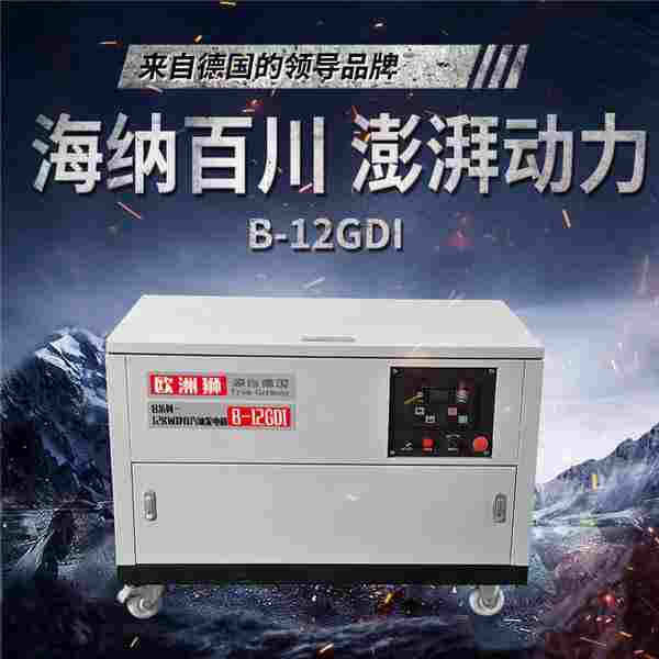 380V12千瓦汽油发电机组厂家