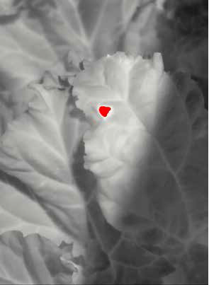 热像仪应用 小温差物体检测