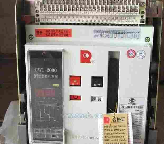 CM1-100L/3300/63常熟开关厂