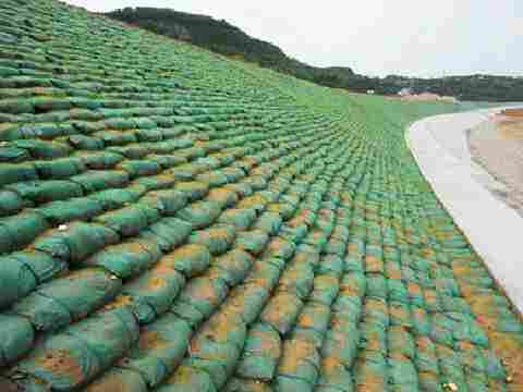 欢迎—遵义生态袋集团股份有限公司—欢迎您