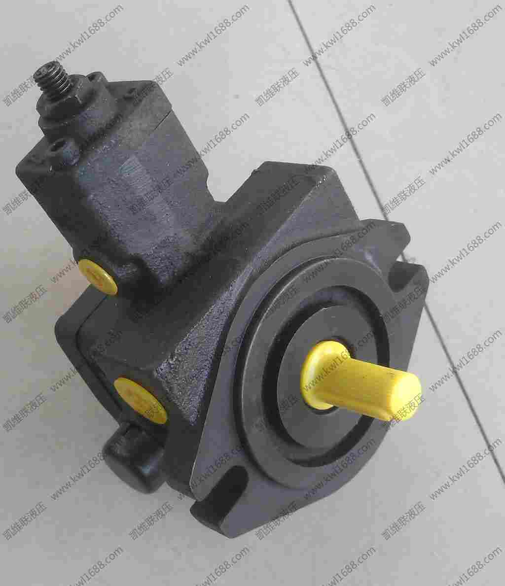 ：PVD12-17-53,双联叶片泵,怎么样？苏州