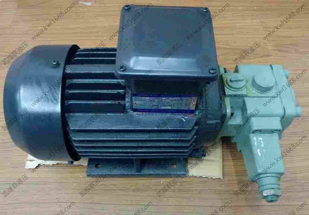 :PVD13-19-52,双联叶片泵,价格实惠无锡