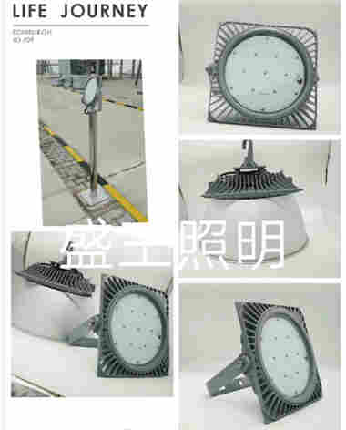 防爆LED工作灯海洋王FW6102GF/OZ1 海洋王FW6102GF/OZ1