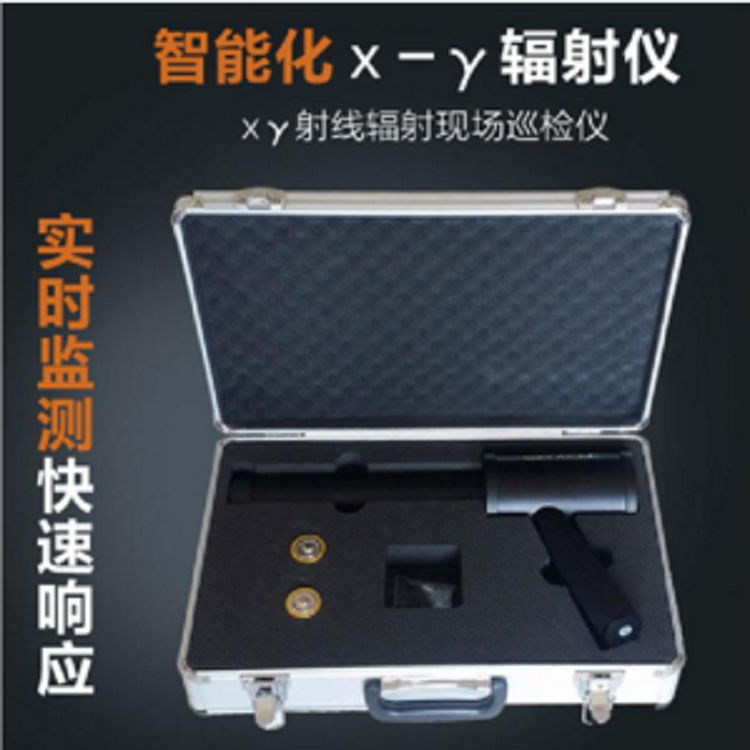 RP6000 智能X,γ辐射测量仪