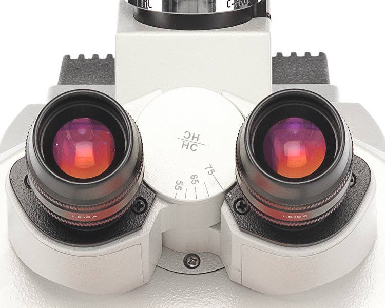 徕卡研究级全手动偏光显微镜-Leica DM2700 P