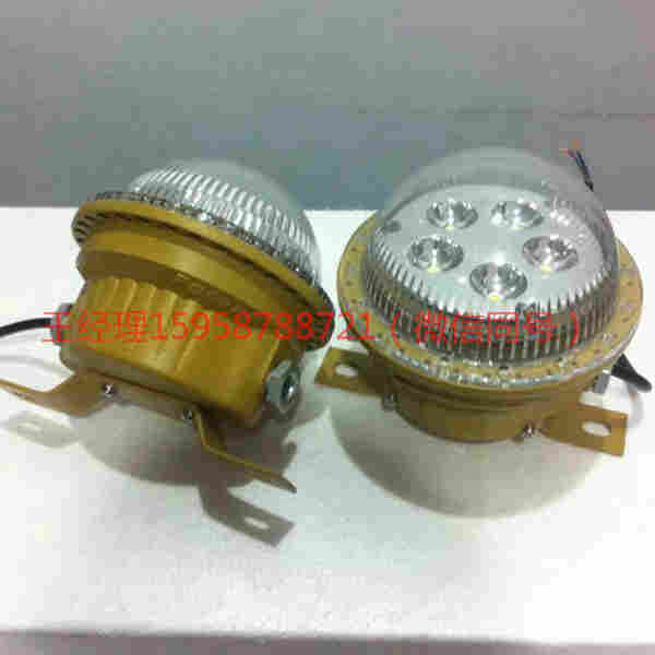 黄冈BFC8183-15W防爆免维护LED照明灯220V24V36V
