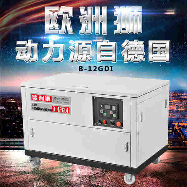 12kw汽油发电机自启动