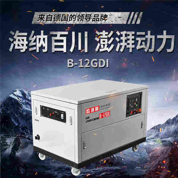 欧洲狮15千瓦三相汽油发电机