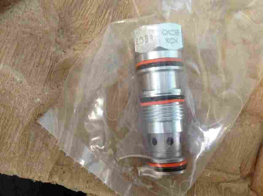 DNGZK-80-100-PPV-A现货DNGZK