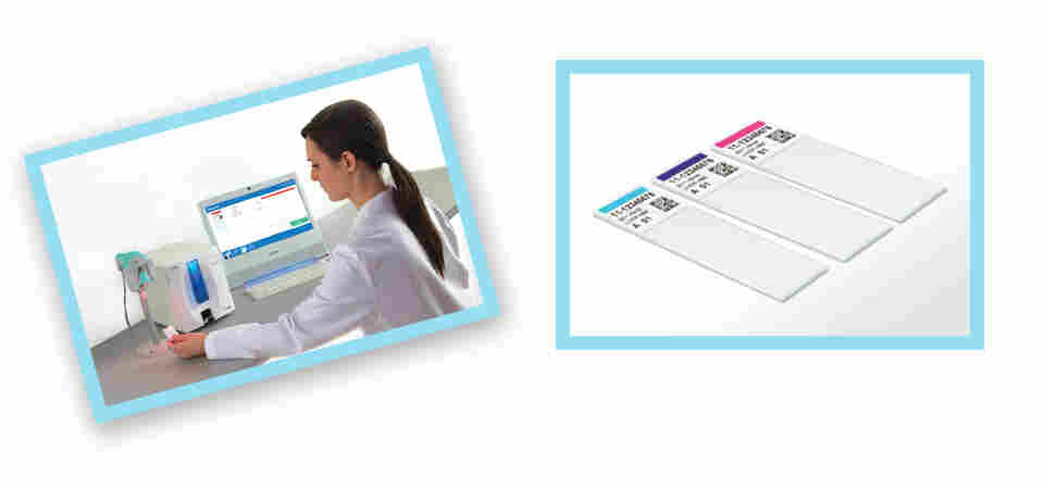 派美雅彩色载玻片打号机工作现场