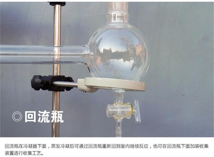 DF-10L  单层玻璃反应釜