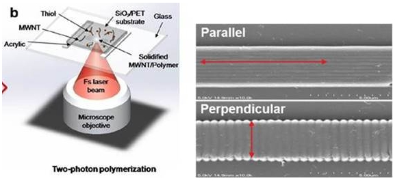 德国 Nanoscribe 双光子微纳3D打印机（双光子飞秒激光直写仪）