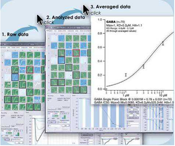 德国Nanion耐尼恩SyncroPatch 384/768PE高通量全自动膜片钳系统