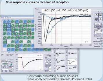 德国Nanion耐尼恩SyncroPatch 384/768PE高通量全自动膜片钳系统