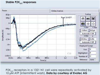 德国Nanion耐尼恩SyncroPatch 384/768PE高通量全自动膜片钳系统
