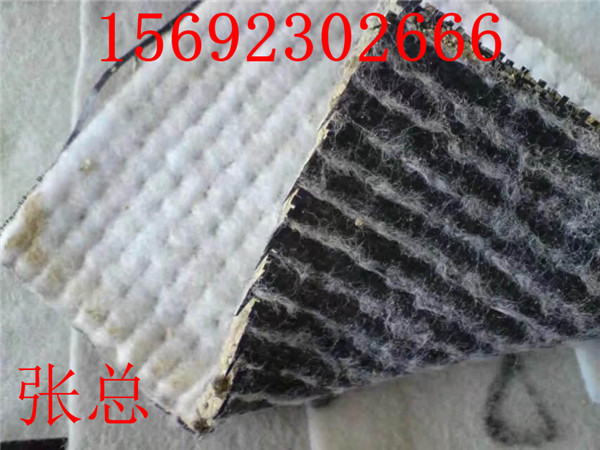 欢迎点击 上海纳基膨润土防水毯价格-----欢迎来电咨询
