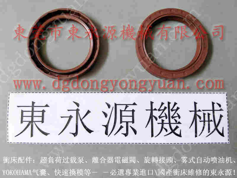 珠海 富特盘式电机,自动喷涂油润滑机 找 东永源