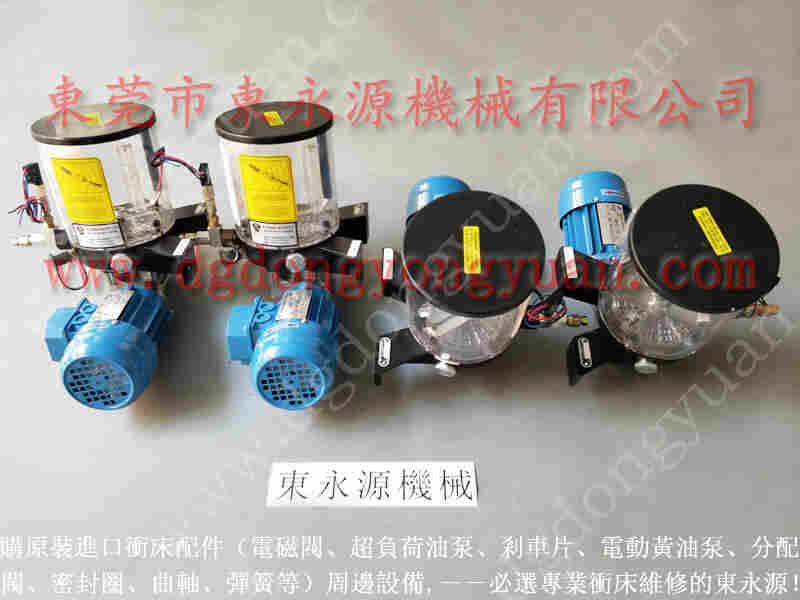 GRM-160冲床配件，VA08-520	油泵 找  东永源