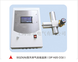 SGZX(N)型天然气在线监控系统（DP H2S CO2）