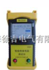 YH-5101智能绝缘电阻仪
