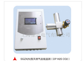 SGZX(N)型天然气在线监控系统（DP H2S CO2）