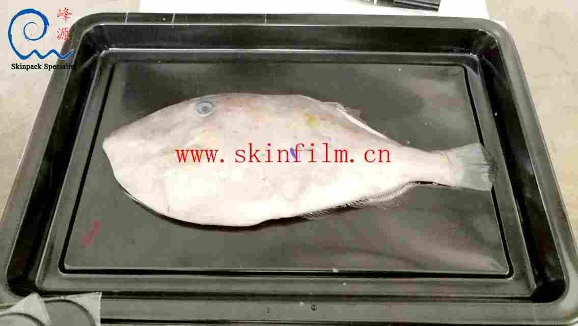  海鲜贴体膜（水产品贴体包装膜）鱼贴体包装实例：
