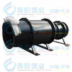 卧式雪橇式大流量高扬程潜水轴流泵厂家雨辰泵业